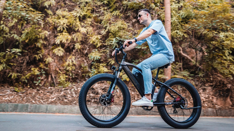 lankeleisi Elektrofahrrad