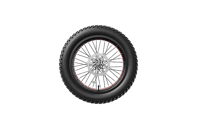 Lankeleisi electric bike front wheel with tire and spokes, designed for smooth riding and durability on e-bike models.